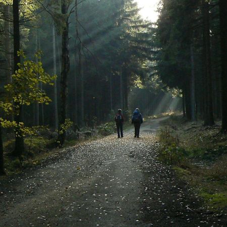 Zimmervermietung-Heide-Fiege Hartmannsdorf bei Chemnitz Extérieur photo
