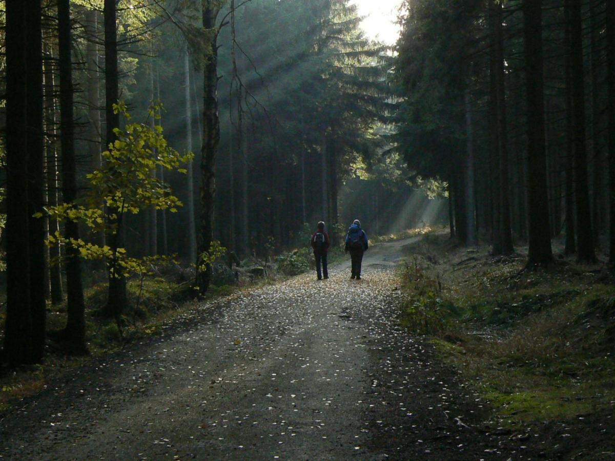 Zimmervermietung-Heide-Fiege Hartmannsdorf bei Chemnitz Extérieur photo